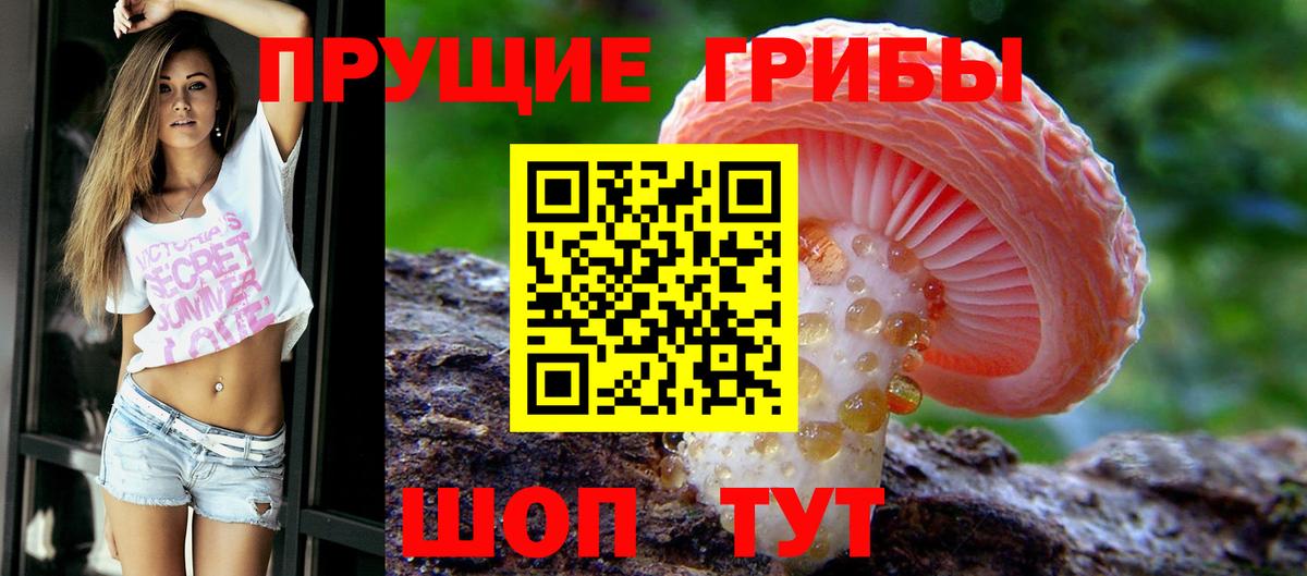 Люберцы  Псилоцибиновые грибы Psilocybe  Вход с VPN  Галлюциногенные грибы мицелий 